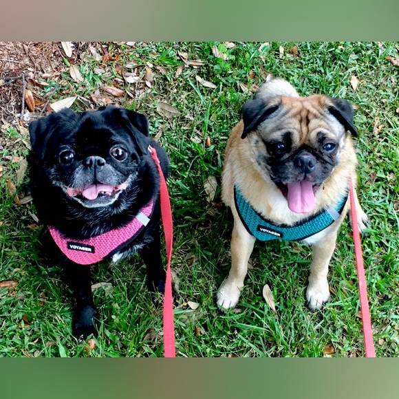 Meet your Posher, Julie - Picture 4 of 10